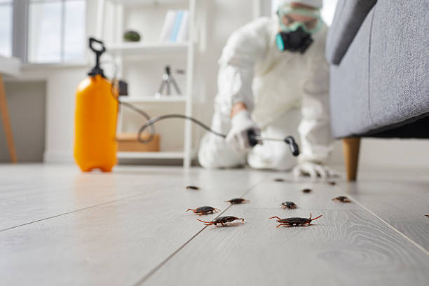 Trusted Cockroach Control service in Glen Gardner, NJ - Nex Pest Control