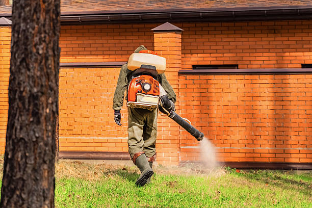 Trusted Mosquito Control service in Glen Gardner, NJ - Nex Pest Control